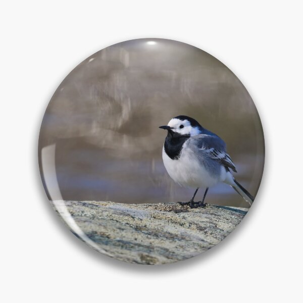 Item preview, Big dreams. White wagtail Spring 2026 designed and sold by Jouko Lehto Photography.