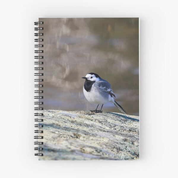 Item preview, Big dreams. White wagtail Spring 2026 designed and sold by Jouko Lehto Photography.