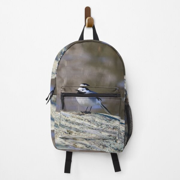 Item preview, Big dreams. White wagtail Spring 2026 designed and sold by Jouko Lehto Photography.