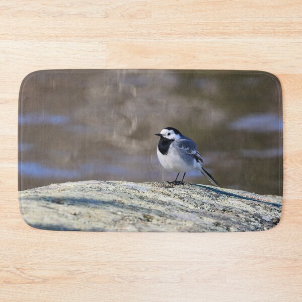 Item preview, Big dreams. White wagtail Spring 2026 designed and sold by Jouko Lehto Photography.