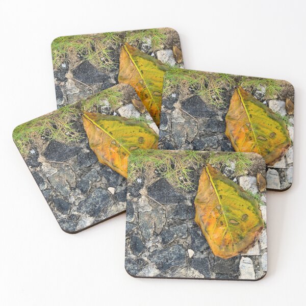 Item preview, Fallen Tropical Leaf Cobblestone Street Photography designed and sold by Ayiti-Mar.