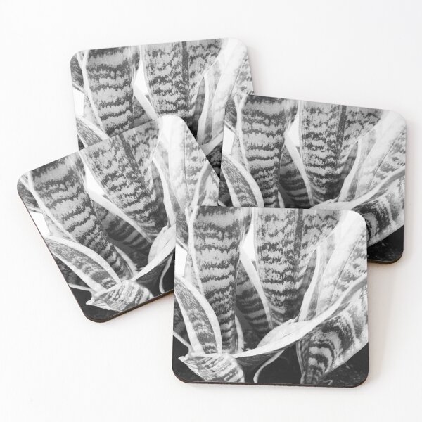 Item preview, Snake Plant Black and White Photography designed and sold by Ayiti-Mar.