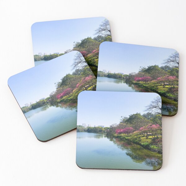Item preview, Urban Park Lake São Paulo Brazil Cityscape designed and sold by Ayiti-Mar.