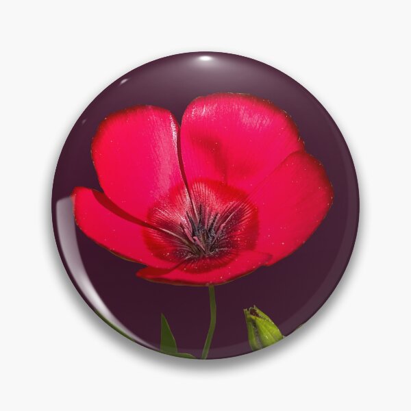 Item preview, Scarlet flax  designed and sold by PariSeine.