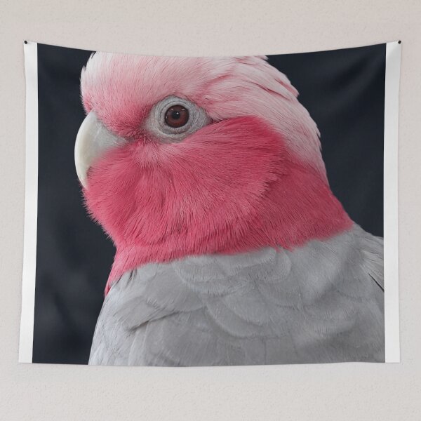 Item preview, Blush Majesty – Galah Cockatoo Portrait designed and sold by Kimberly Palmer.