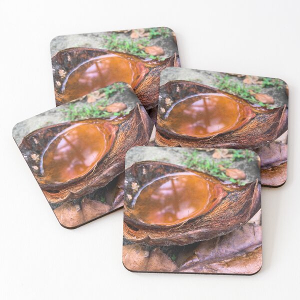 Item preview, Coconut Shell Rainwater Reflection Tropical Photography designed and sold by Ayiti-Mar.