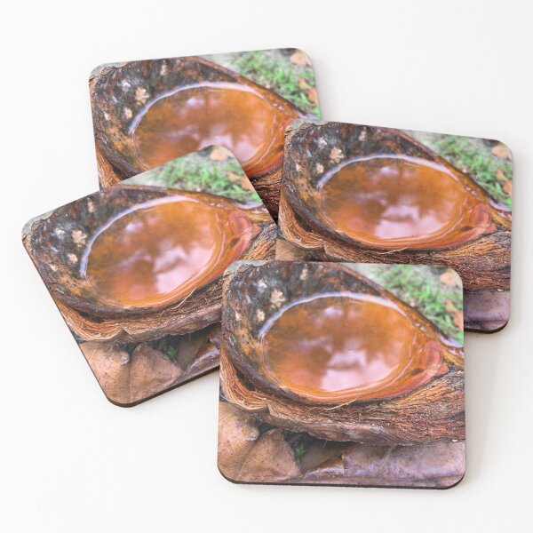 Item preview, Amber Rainwater Coconut Shell Close Up Bahia designed and sold by Ayiti-Mar.
