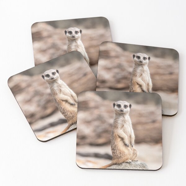 Item preview, Meerkat Photography  designed and sold by NatashaBalletta.