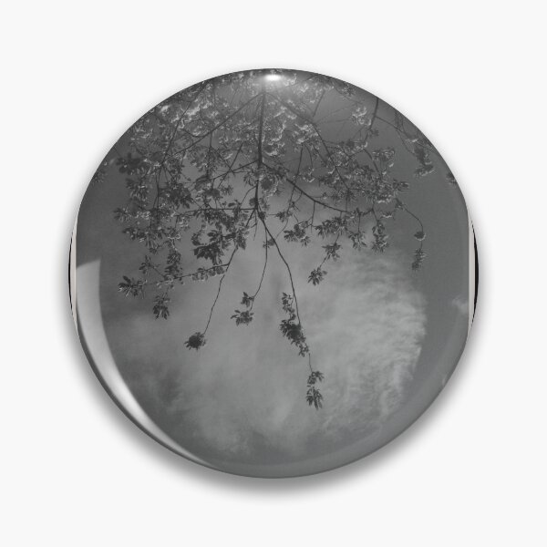 Item preview, blossoming flowers with a perfectly-shaped cloud in the background (glasgow, scotland) (april 2026) designed and sold by photosbykel.