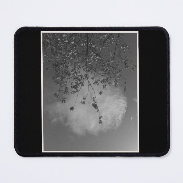 Item preview, blossoming flowers with a perfectly-shaped cloud in the background (glasgow, scotland) (april 2026) designed and sold by photosbykel.