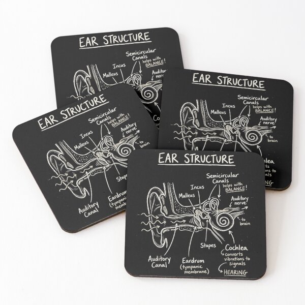 Item preview, Detailed Ear Structure Anatomy Diagram Educational Medical Science Hand Drawn Chalkboard Art designed and sold by Daisy Grimes.