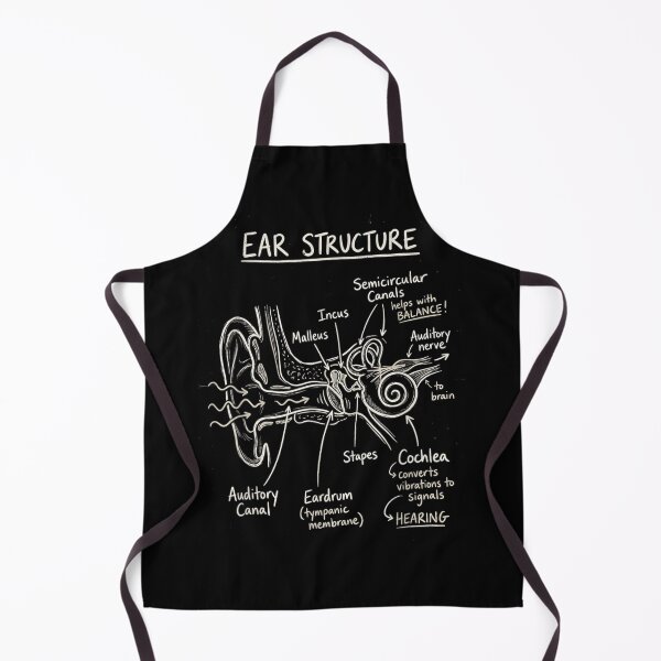 Item preview, Detailed Ear Structure Anatomy Diagram Educational Medical Science Hand Drawn Chalkboard Art designed and sold by Daisy Grimes.