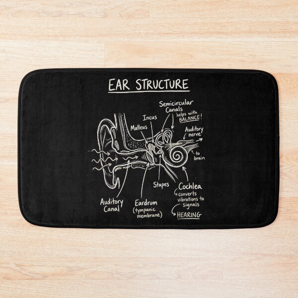 Item preview, Detailed Ear Structure Anatomy Diagram Educational Medical Science Hand Drawn Chalkboard Art designed and sold by Daisy Grimes.