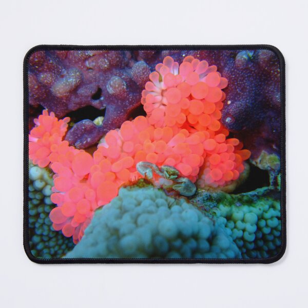 Item preview, Neon Pink Coral: Hidden Porcelain Crab Art designed and sold by Mayuri Japan Studio.