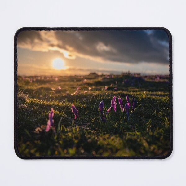 Item preview, Crocuses and sunset. designed and sold by vz-mrvq-01.
