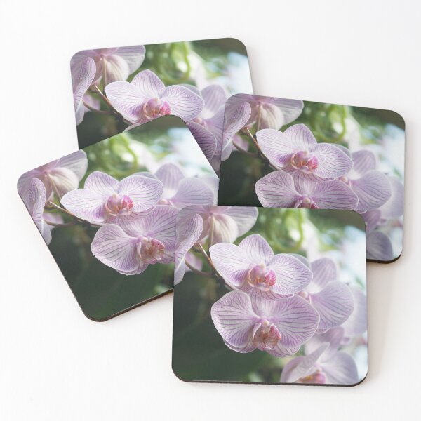 Item preview, Pink Orchid Photography designed and sold by NatashaBalletta.