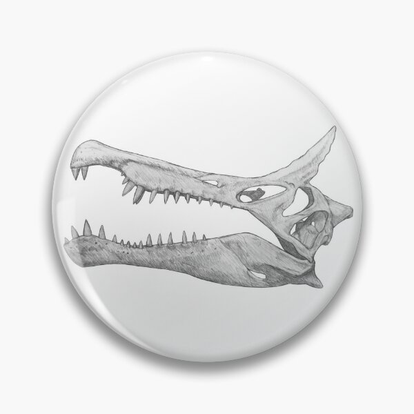 Item preview, Spinosaurus Mirabilis Skull designed and sold by DoodleSnake58.