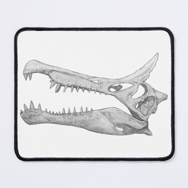 Item preview, Spinosaurus Mirabilis Skull designed and sold by DoodleSnake58.