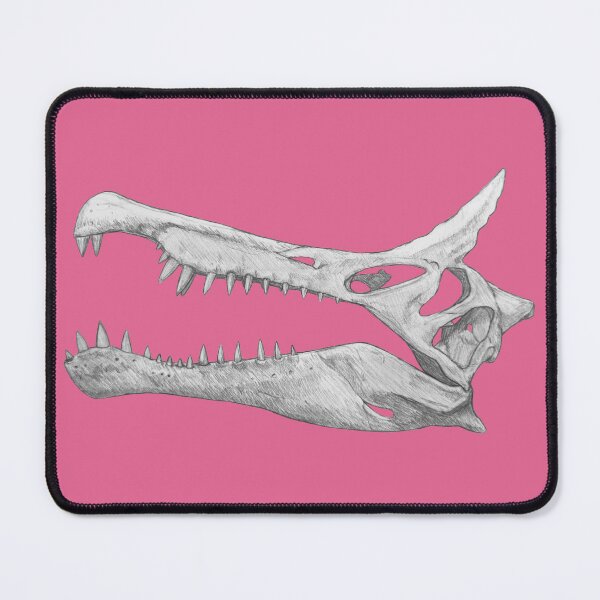 Item preview, Spinosaurus Mirabilis Skull designed and sold by DoodleSnake58.