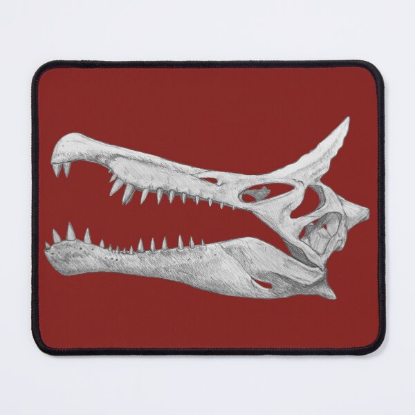 Item preview, Spinosaurus Mirabilis Skull designed and sold by DoodleSnake58.
