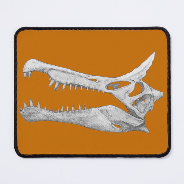 Item preview, Spinosaurus Mirabilis Skull designed and sold by DoodleSnake58.