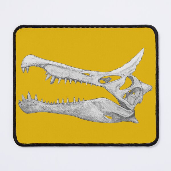 Item preview, Spinosaurus Mirabilis Skull designed and sold by DoodleSnake58.
