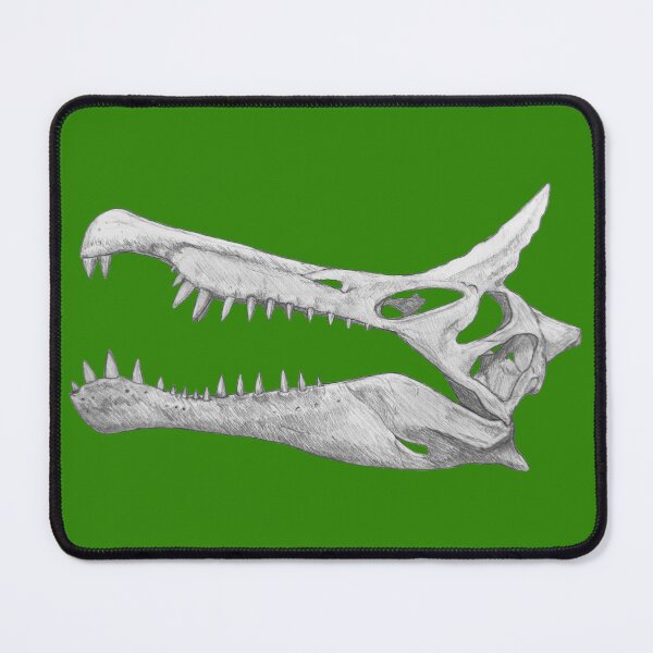 Item preview, Spinosaurus Mirabilis Skull designed and sold by DoodleSnake58.