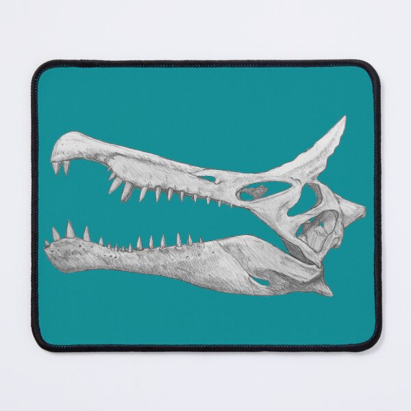 Item preview, Spinosaurus Mirabilis Skull designed and sold by DoodleSnake58.