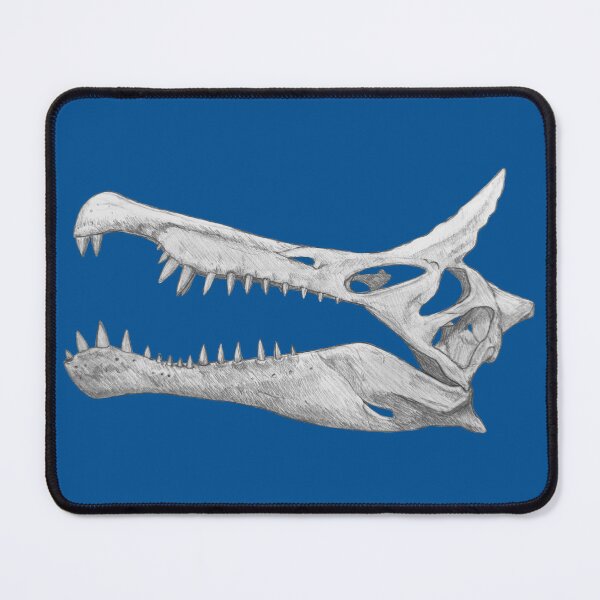 Item preview, Spinosaurus Mirabilis Skull designed and sold by DoodleSnake58.