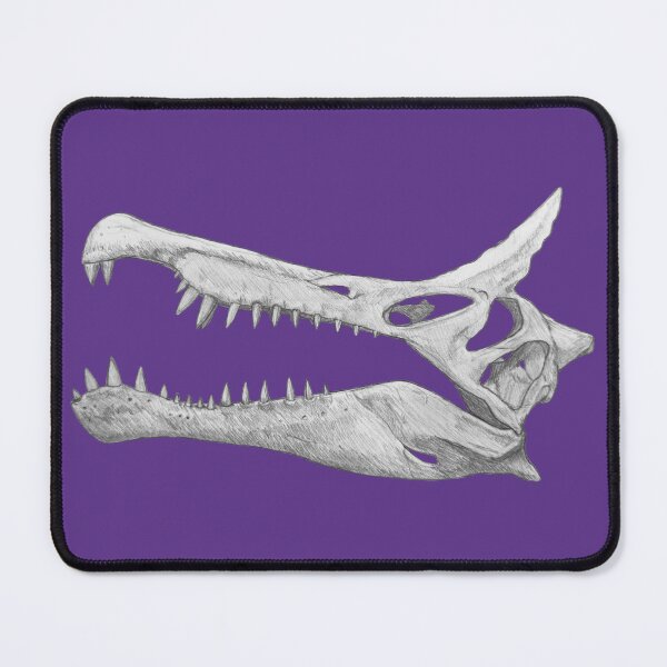 Item preview, Spinosaurus Mirabilis Skull designed and sold by DoodleSnake58.