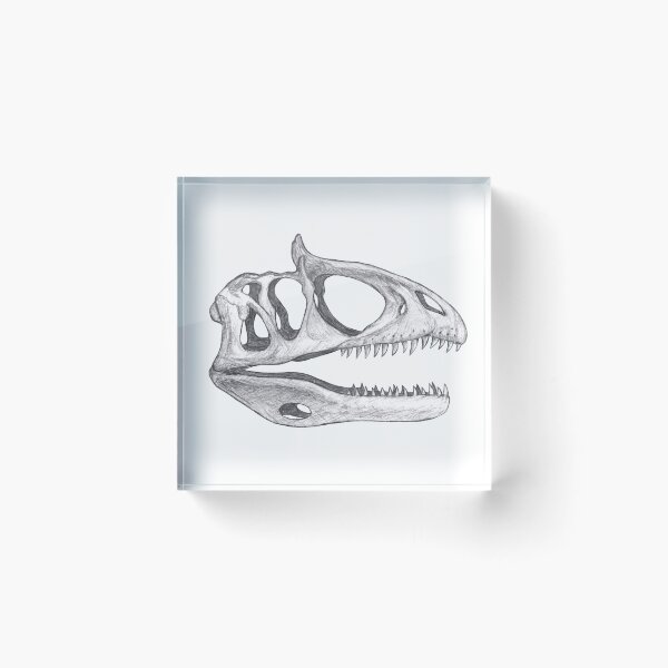 Item preview, Cryolophosaurus Skull designed and sold by DoodleSnake58.