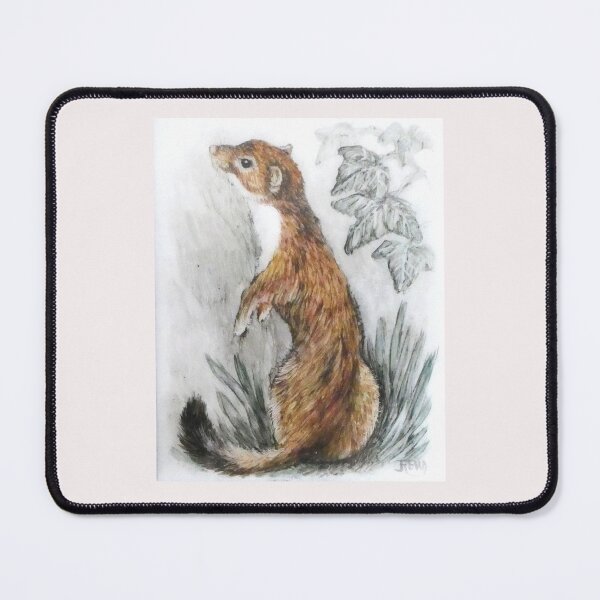 Item preview, Stoat by R E Whitaker designed and sold by Collector-RB.