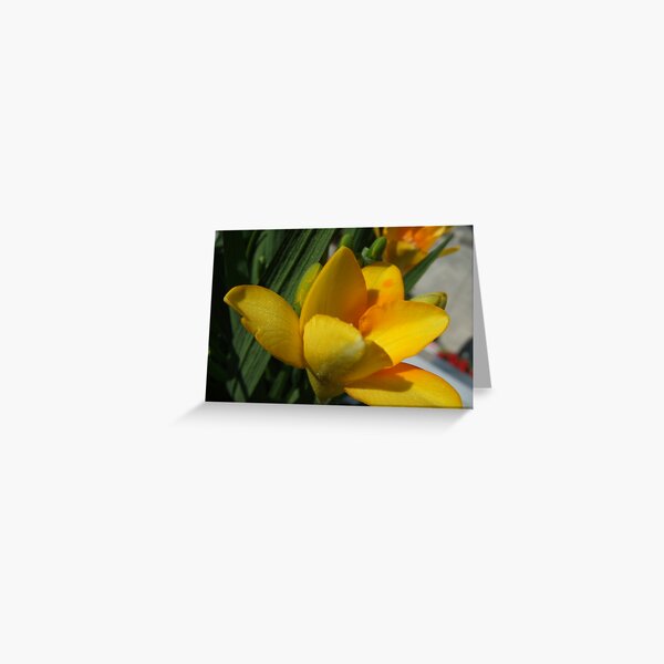 Gold-dusted beauty Greeting Card