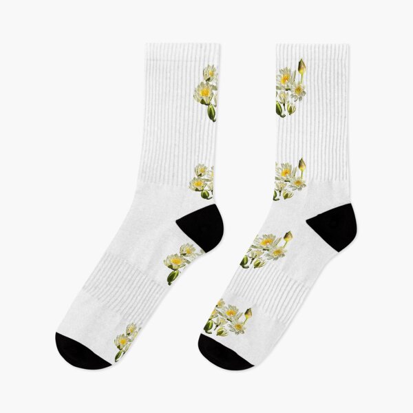 Item preview, White water lilies (Nymphaea alba) designed and sold by PariSeine.