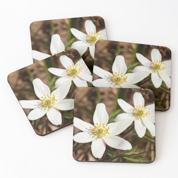 Item preview, Duo. Wood Anemone 2026 designed and sold by Jouko Lehto Photography.