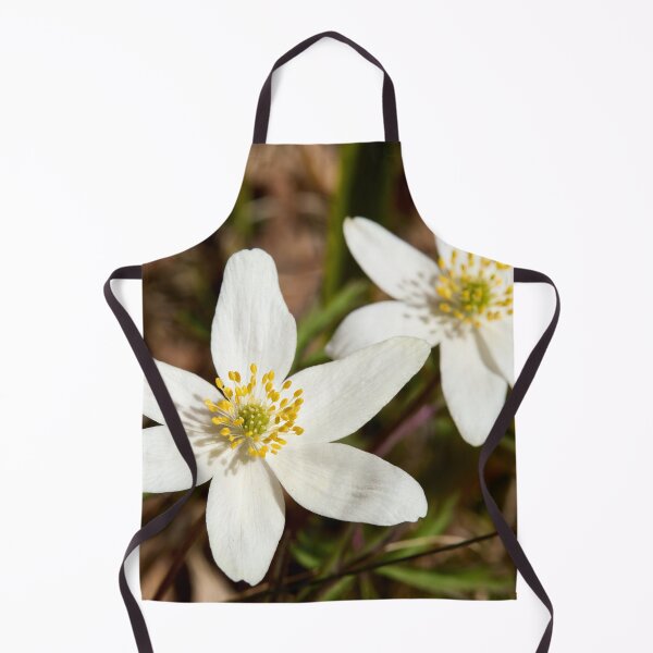 Item preview, Duo. Wood Anemone 2026 designed and sold by Jouko Lehto Photography.
