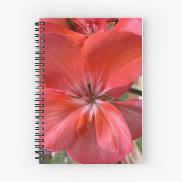 Item preview, Macro Coral Pink Geranium Blossom designed and sold by BalkanBloom.