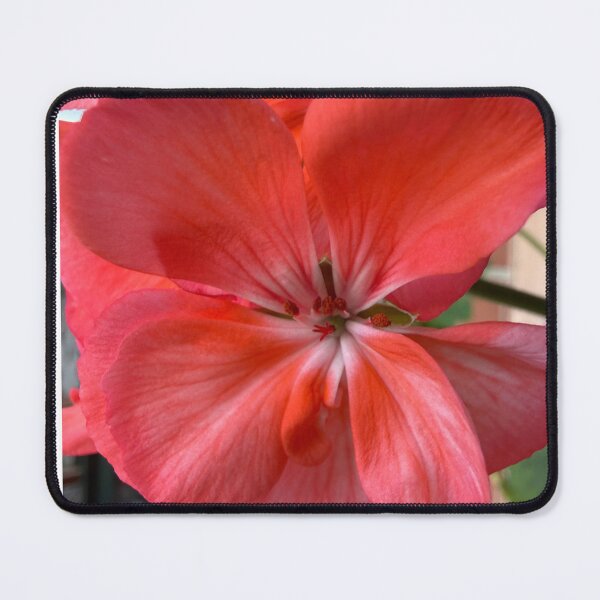 Item preview, Macro Coral Pink Geranium Blossom designed and sold by BalkanBloom.