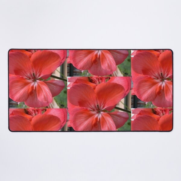 Item preview, Macro Coral Pink Geranium Blossom designed and sold by BalkanBloom.