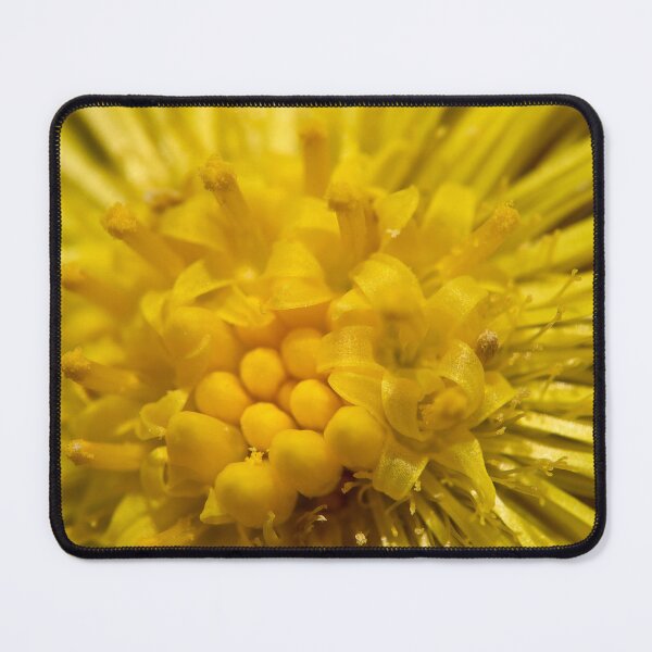 Item preview, Vertical yellow. Coltsfoot designed and sold by Jouko Lehto Photography.