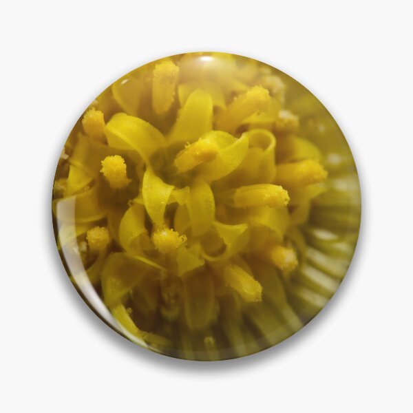 Item preview, The purpose of life. Coltsfoot designed and sold by Jouko Lehto Photography.