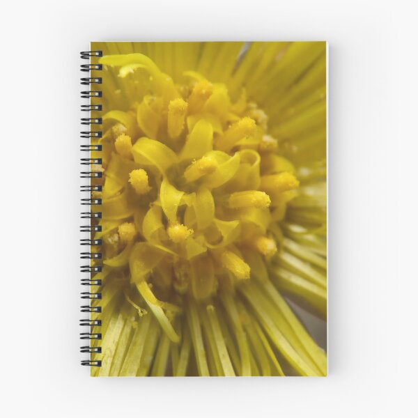 Item preview, The purpose of life. Coltsfoot designed and sold by Jouko Lehto Photography.
