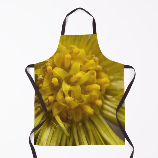 Item preview, The purpose of life. Coltsfoot designed and sold by Jouko Lehto Photography.