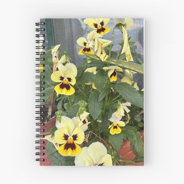 Item preview, Yellow and Purple Tricolor Pansy Blooms designed and sold by BalkanBloom.