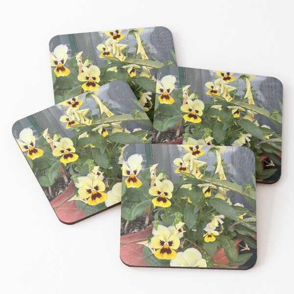 Item preview, Yellow and Purple Tricolor Pansy Blooms designed and sold by BalkanBloom.