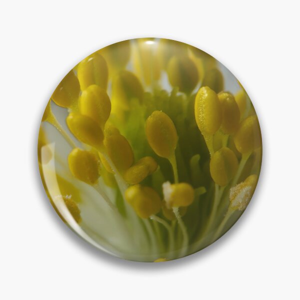 Item preview, Close up. Wood Anemone 2026 designed and sold by Jouko Lehto Photography.