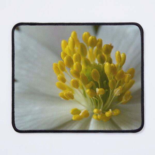 Item preview, Close up. Wood Anemone 2026 designed and sold by Jouko Lehto Photography.