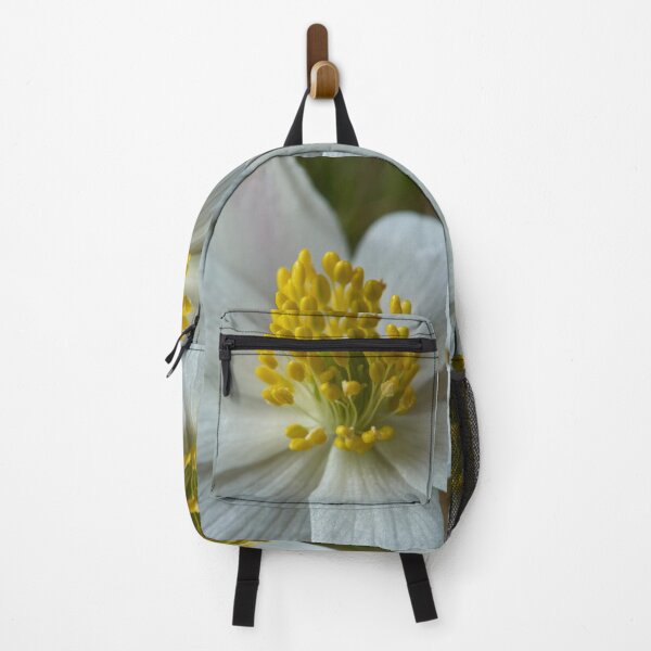 Item preview, Close up. Wood Anemone 2026 designed and sold by Jouko Lehto Photography.