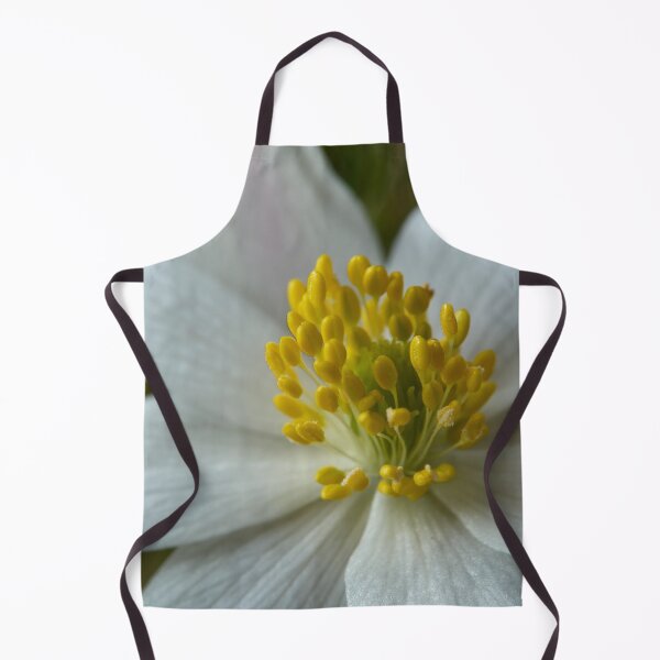 Item preview, Close up. Wood Anemone 2026 designed and sold by Jouko Lehto Photography.