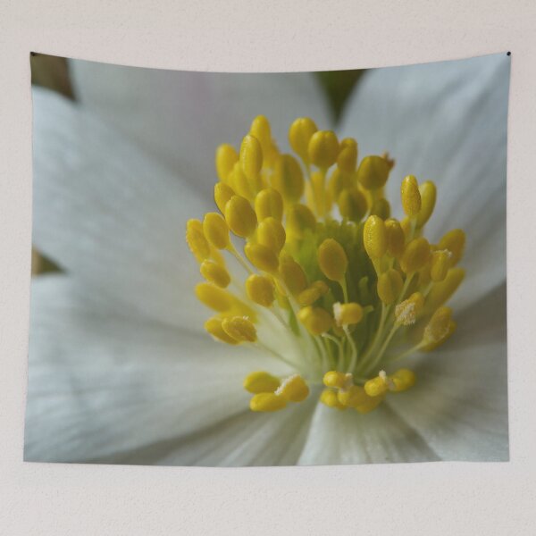 Item preview, Close up. Wood Anemone 2026 designed and sold by Jouko Lehto Photography.
